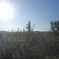 Webcam_20210718-071500