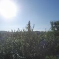 Webcam_20210718-073000
