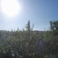 Webcam_20210718-074500