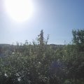 Webcam_20210718-080000