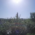 Webcam_20210718-091500