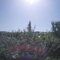 Webcam_20210718-093000