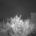 Webcam_20210718-213000
