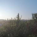 Webcam_20210720-060000