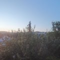 Webcam_20210721-051500