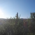 Webcam_20210721-061500