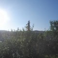 Webcam_20210721-064500