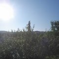 Webcam_20210721-071500