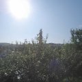Webcam_20210721-080000