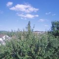 Webcam_20210721-163000