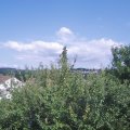 Webcam_20210722-161500
