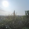 Webcam_20210723-074500