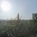 Webcam_20210724-073000