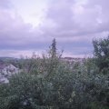 Webcam_20210726-201500