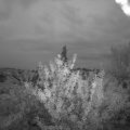 Webcam_20210727-204500