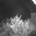 Webcam_20210727-214500