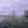 Webcam_20210731-203000