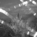 Webcam_20210731-204500