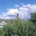 Webcam_20210801-161500