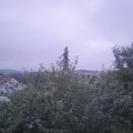 Webcam_20210802-051500