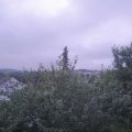 Webcam_20210802-053000
