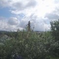 Webcam_20210802-101500