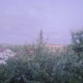Webcam_20210802-203000