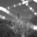 Webcam_20210802-204500
