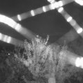 Webcam_20210802-210000