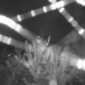 Webcam_20210802-211500