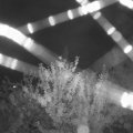 Webcam_20210802-213000