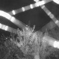 Webcam_20210802-214500