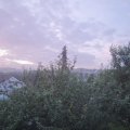 Webcam_20210803-050000