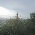 Webcam_20210803-064500