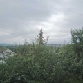 Webcam_20210803-081500