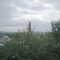 Webcam_20210803-083000