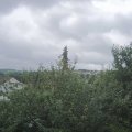 Webcam_20210803-103000