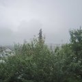 Webcam_20210803-111500