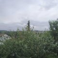 Webcam_20210803-114500