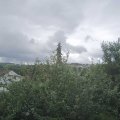 Webcam_20210803-124500