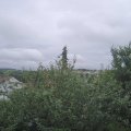 Webcam_20210803-134500