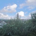 Webcam_20210803-164500