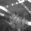 Webcam_20210803-204500