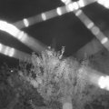 Webcam_20210803-211500