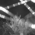 Webcam_20210803-214500