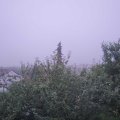 Webcam_20210804-051500