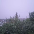 Webcam_20210804-053000