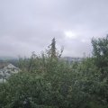 Webcam_20210804-073000