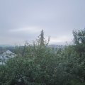 Webcam_20210805-063000