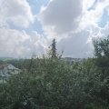 Webcam_20210805-103000